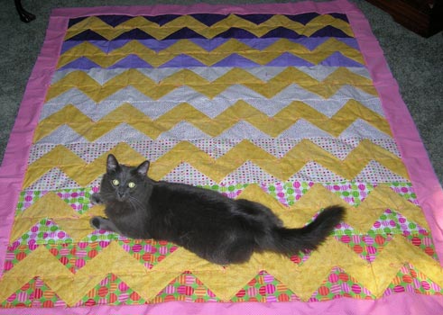 Aunt Dot Zig Zag Quilt